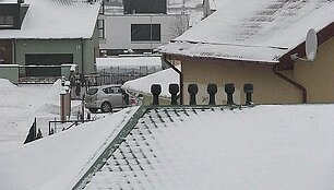 Apsnigti stogai