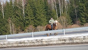 Nedrausmingas raitelis automagistralėje