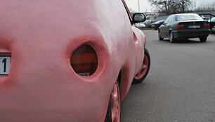 &Scaron;unamobilio pusbrolis Kiauliataupykliamobilis
