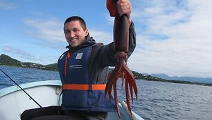 Felikso kalmaras, sugautas Norvegijoje