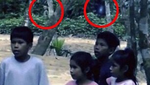 UFO Brazilijos džiunglėse