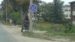 Fotopolicija: arklys po ženklu