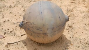 Keistas i&scaron; dangaus nukritęs metalinis rutulys užminė mįslę Namibijos gyventojams.