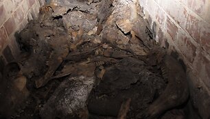 Kraupus radinys viename i&scaron; Kauno fortų &ndash; gyvūnų kaulų krūva.