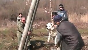 Brodilovo gyventojai įsitikinę, kad toks barbari&scaron;kas ritualas gali apsaugoti jų &scaron;unis nuo pasiutligės.