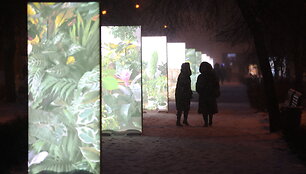 Vilniaus &scaron;viesų festivalis