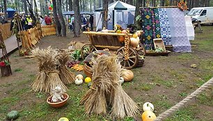 Grybų &scaron;ventės akimirka