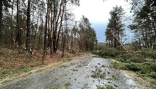 Vėjo i&scaron;laužytos pu&scaron;ys Valakampiuose