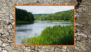 Mokslininkų manymu, atšilus klimatui tokios šalys kaip Lietuva tik išloštų.