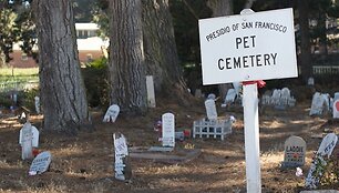 Gyvūnėlių kapinės San Franciske