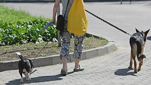 Pasivaik&scaron;čiojimas su keturkojais