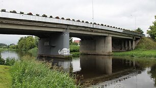 Tapyba ant sienų. Marijampolė