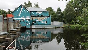 Tapyba ant sienų. Marijampolė