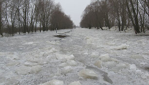 Potvynis pamaryje