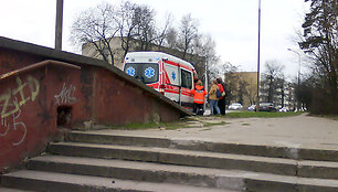 Įvykis Vingio parke