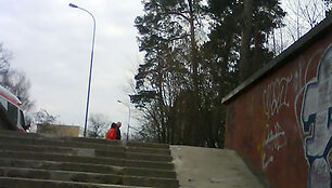 Įvykis Vingio parke