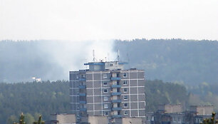 Gaisras Lazdynų pakra&scaron;tyje