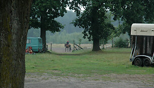 Žirgyne