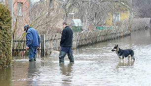 Situacija Panevėžio r.