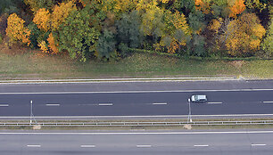 Automagistralė