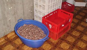Pogrindinis mėsos cechas