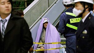 Žemės drebėjimas Japonijoje