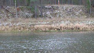 Baltarusijos pasienis