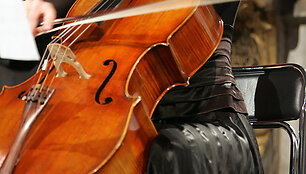 Violončelė