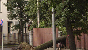 Vilnius po audros
