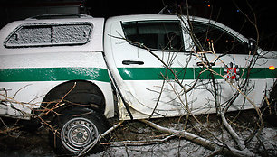 Policijos automobilis nulaužė pušį