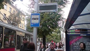 &Scaron;vieslentė