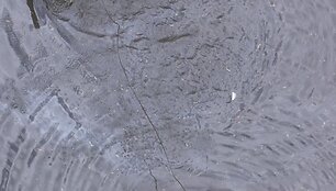 Potvynis