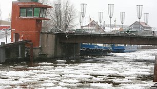 Sniegas Klaipėdoje prikrėtė išdaigų. 