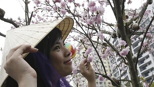 Moteris grožisi žydinčia sakura.