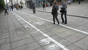 Vandeniui atspariais dažais nupie&scaron;tus skaičius privalės nuvalyti mugės rengėjai.