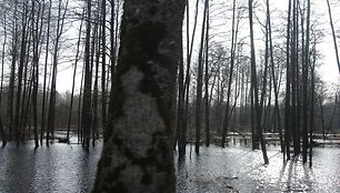 ) &Scaron;ilutės rajonas potvynio sulaukia kone kasmet.