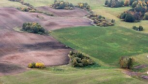 Žemė