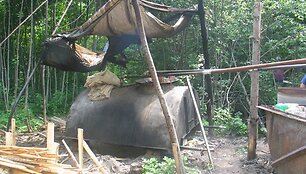 Bravoras