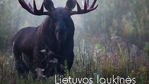 Albumo &bdquo;Lietuvos laukinės gamtos fotografija 2010&ldquo; vir&scaron;elyje &ndash; geriausia metų fotografija: Vytautas Knyva &bdquo;Au&scaron;tant...&ldquo;