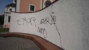 Tinkuota tvora nuo vandalų nukenčia ne pirmą kartą. Vilniaus mokytojų namų atstovų teigimu, pavasarį ji buvo suniokota, nuplė&scaron;ti lietvamzdžiai. 