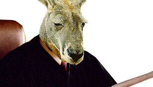 Kengūros