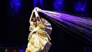 Bj&ouml;rk