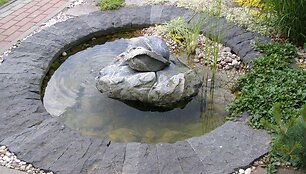 Sodyboje