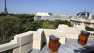 Aviliai ant &bdquo;Grand Palais&ldquo; stogo.