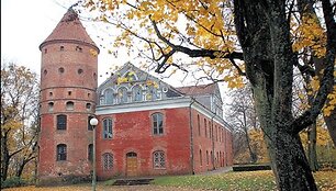 Raudondvario dvaro atkūrimu besirūpinančios įstaigos vadovai nespėja plu&scaron;ėti, tad dalį darbų patiki privatiems konsultantams.