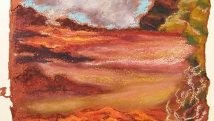 Mariettos Bonnet paroda „Ugnikalniai vandenyne“