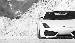 &bdquo;Lamborghini Gallardo LP560-4&rdquo;