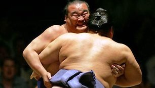 Sumo