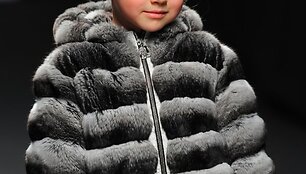 Kolekcijos modelis