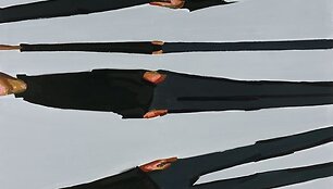 Andrius Zakarauskas. "Horizontalūs potėpiai", dr. al., 190x180cm, 2009